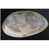Image 1 : Half Shell Décor or Trinket Bowl 7"x4"