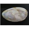 Image 3 : Half Shell Décor or Trinket Bowl 7"x4"