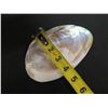 Image 5 : Half Shell Décor or Trinket Bowl 7"x4"