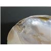 Image 6 : Half Shell Décor or Trinket Bowl 7"x4"