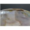 Image 7 : Half Shell Décor or Trinket Bowl 7"x4"