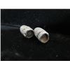 Image 11 : Bullet Fragments w/ Documented Handwritten History 1916