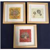Image 1 : Qty 3 Framed Carrie Lee Brady Scallop Shell "Gyotaku" Prints, Signed w/ Maker's Mark & COA