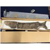 Image 2 : Large Fossil Fish (Separated into Sections) 44"L x 6"W