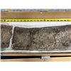 Image 8 : Large Fossil Fish (Separated into Sections) 44"L x 6"W
