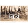 Image 1 : African American Black Diamond Express Wagon Southern Pines, North Carolina Photo PC