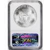 Image 2 : 2010 American Silver Eagle Coin NGC MS69 Early Releases