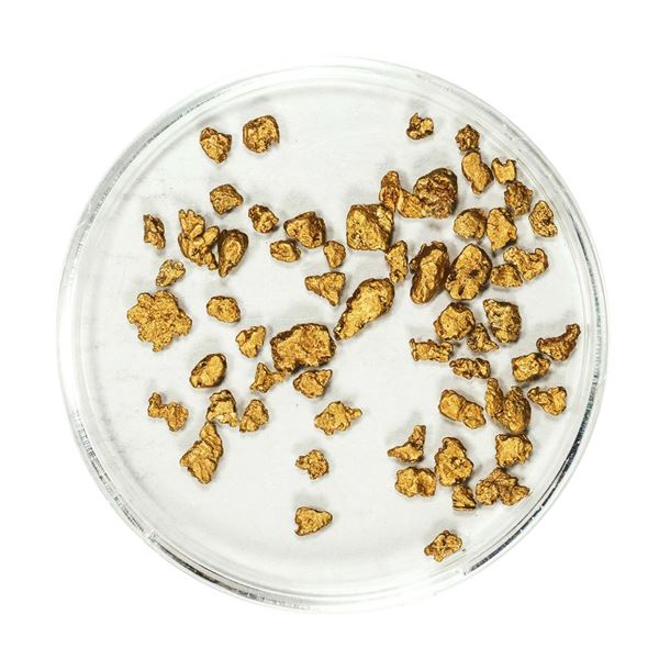 Lot of Gold Nuggets 3.43 Grams Total Weight