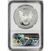 Image 2 : 1996-P $1 Proof American Silver Eagle Coin NGC PF69 Ultra Cameo