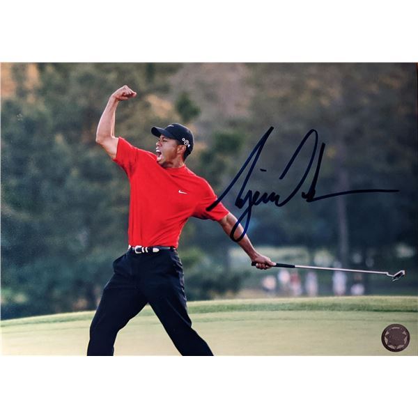 Tiger Woods Signed Photo