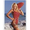 Image 1 : Baywatch Donna D'Errico signed photo