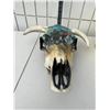 Image 1 : Art skull