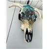 Image 2 : Art skull