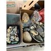 Image 1 : Rocks