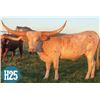 Image 1 : Riverforks Trilogy CCR