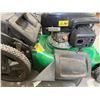 Image 8 : Lawnmower