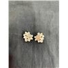 Image 2 : Earrings and Broach