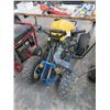 Image 1 : Suzuki Quad Runner (Nds. Service)