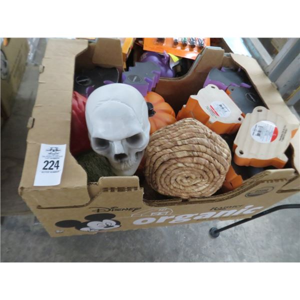 Lot of Halloween Décor