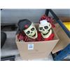 Image 1 : Pirate Skeleton Décor