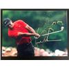 Image 1 : TIGER WOODS SIGNED 8X10 PHOTO (RA COA)