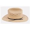 Image 2 : Ray Price Autographed Stetson Hat