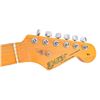 Image 4 : Ray Benson's Daion Guitar