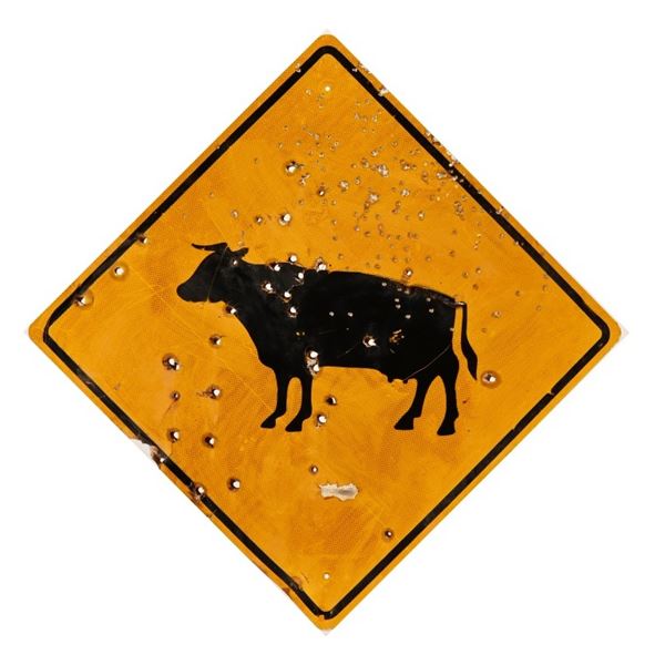 Ray Benson's Shot - Up Cow Sign