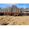 Image 2 : Pembina Ranching - 880# Heifers - 115 Head (Lodgepole, AB)