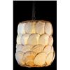 Image 1 : #2321-C "SEASHELL LIGHT" OA LAMP.