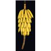 Image 1 : OA CATALOG DECORATIVE BUNCH OF PLASTIC BANANAS.