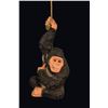 Image 1 : OA LUAU RENTAL DEPARTMENT HANGING CHIMPANZEE.