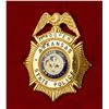 Image 2 : ARKANSAS STATE POLICE BADGE (2)