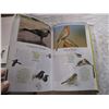 Image 3 : Mix lot of books Birds