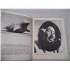 Image 2 : Canadian Eskimo art book