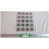 Image 1 : Saskatchewan Roughriders Tokens