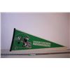 Image 1 : Saskatchewan Roughriders Pennant