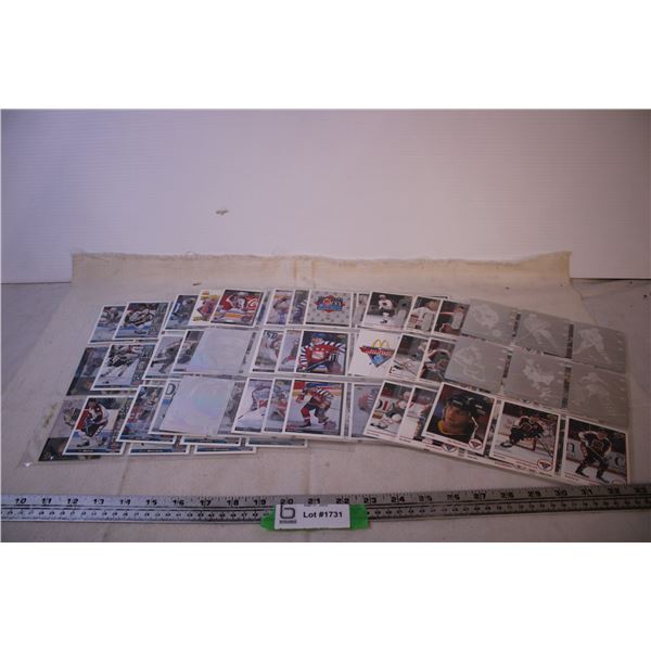 (12) Sleeves of Hockey Cards