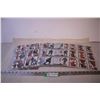 Image 1 : (18) Sleeves of Hockey Cards