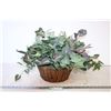 Image 1 : Fake Plant