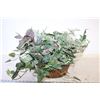Image 2 : Fake Plant