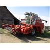 Image 2 : 1982 Massey Ferguson 550 Western Combine - Perkins Motor (no hours meter) - Running -