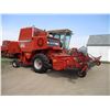 Image 1 : 1984 Massey Ferguson 550 Western Combine - Perkins Motor - Running - S/N: 41 25385