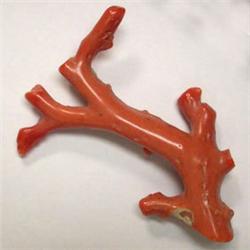 44 CTS FREE FORM NATURAL ITASLIAN CORAL BRANCH 59x8 MM