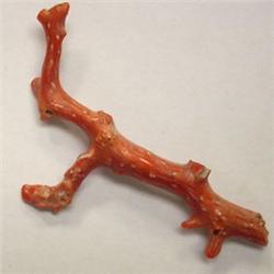 15.30 CTS FREE FORM NATURAL ITALIAN CORAL BRANCH 50x6 MM