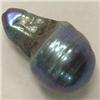 Image 1 : 17x11 MM BLACK TAHITIAN PEARL - FULL DRILLED