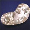 Image 1 : 83x44 MM MOTHER OF PEARL PIECE