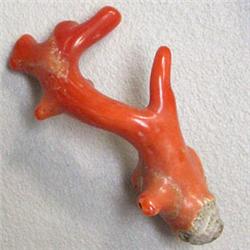 22.80 CTS NATURAL ITALIAN CORAL BRANCH