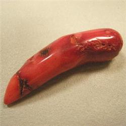 47 CTS FREE FORM BAMBOO RED CORAL PIECE 47x12 MM - TOP DRILLED