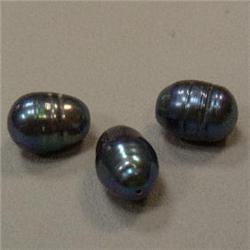 15x11 MM LOT OF THREE FRESH WATER PEARL - FULL DRILLED